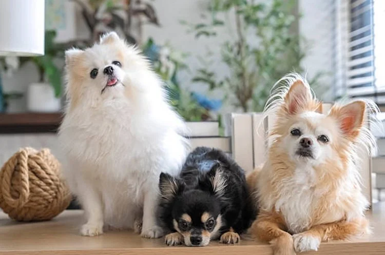 FOTO: iStockphoto/Ilustrasi