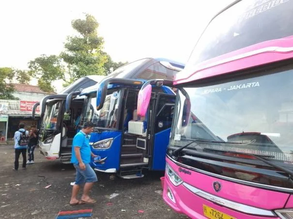 Bogor, June 28 2023 - Various kinds of bus fleets are being prepared to go to Central Java and East Java.  Many passengers are getting ready