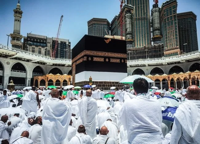 Petugas haji mengimbau jemaah Indonesia memaksimalkan ibadah, dzikir, dan doa selama wukuf di Padang Arafah, puncak pelaksanaan ibadah haji. (Foto: Ist/Ilustrasi)