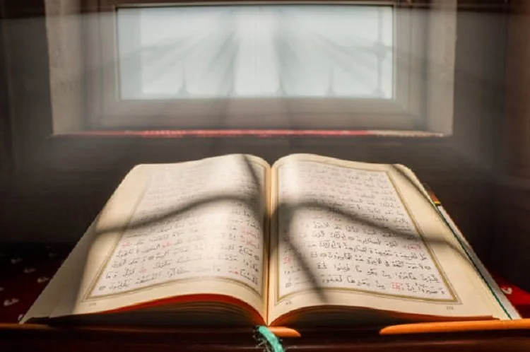 FOTO: iStockphoto/Ilustrasi